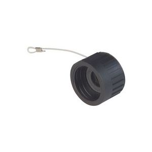 CA 00 SD 2 | 831529100 | Sealing Cap