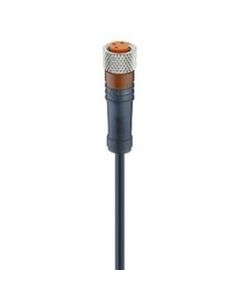 RKMV 3-224/3 M | 43973 | Cordset