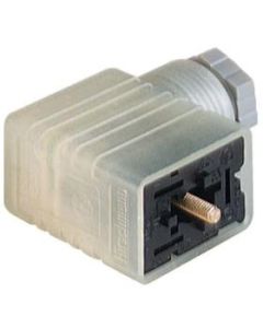 GML 209 NJ LED 24 Grey | 933928106 | Connector Form B IND