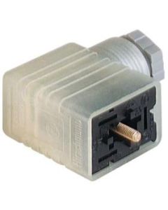 GML 216 NJ LED 24 HH Grey | 934458003  | Connector Form B IND