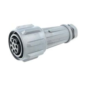 EXP-0911/07/S | EXP091107S | Bulgin | Connector